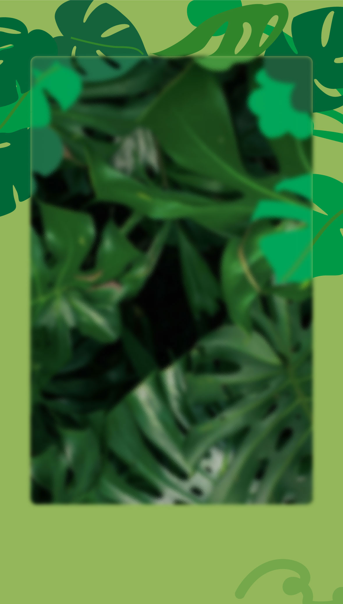 plant-banner
