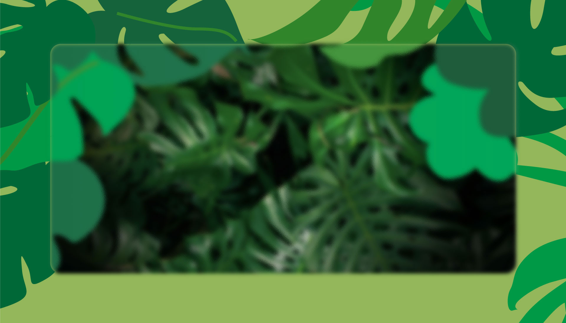 plant-banner